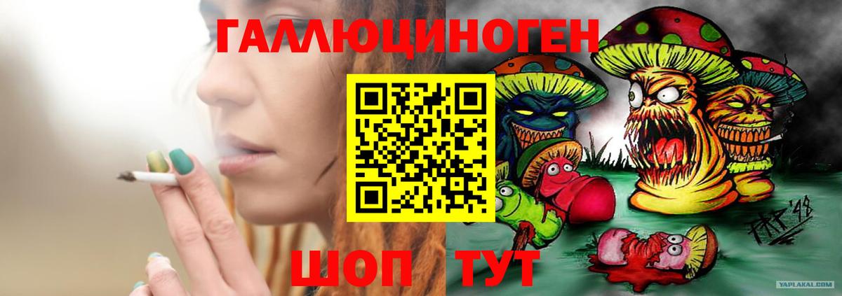 Псилоцибиновые грибы ЛСД  Вход с VPN  где найти   Осинники 